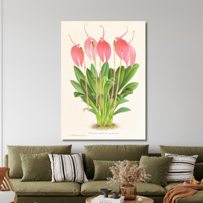 Illustrazioni Botaniche Masdevallia Lindeni Var Grandiflora Jean Jules Linden jjl95 quadro stampato su tela