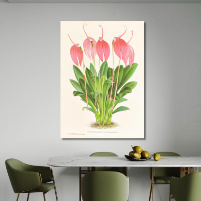 Illustrazioni Botaniche Masdevallia Lindeni Var Grandiflora Jean Jules Linden jjl95 quadro stampato su tela
