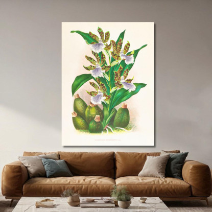 Illustrazioni Botaniche Zygopetalum Intermedium Jean Jules Linden jjl163 quadro stampato su tela