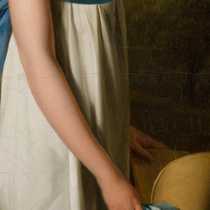 Ritratto Di Mademoiselle Athénaïs D'Albenas Louis Léopold Boilly llb29 quadro stampato su tela