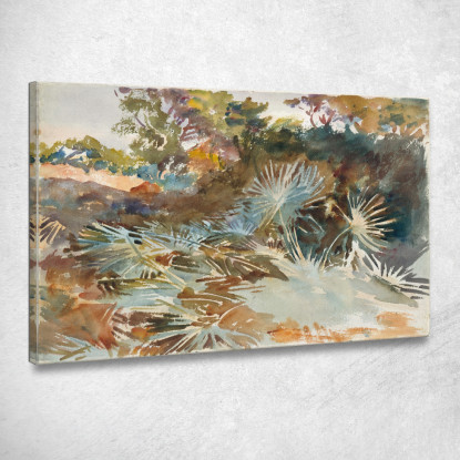 Paesaggio Con Palme Nane John Singer Sargent jss132 quadro stampato su tela