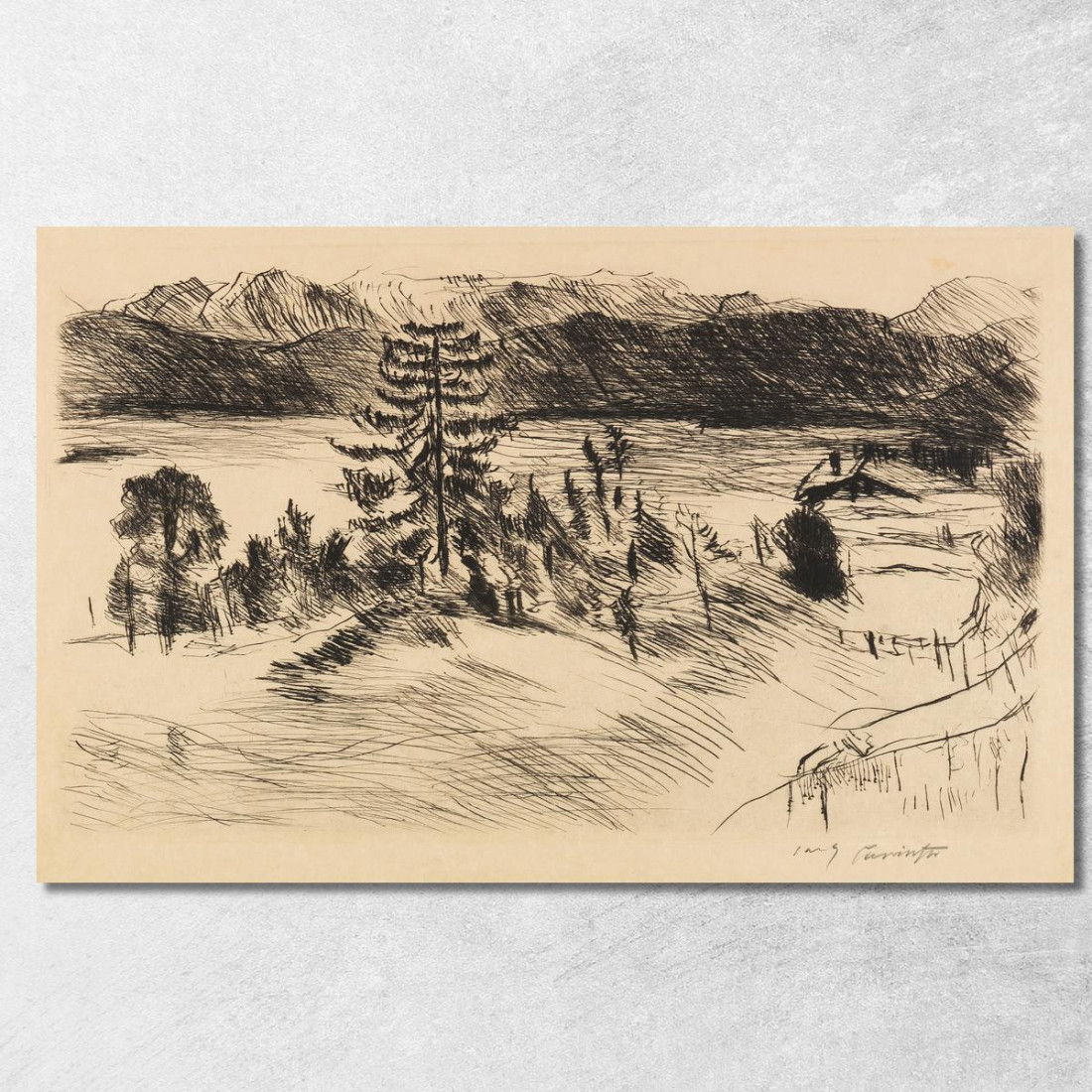 Grand Paysage Du Walchensee Lovis Corinth lcr39 tableau impression sur toile
