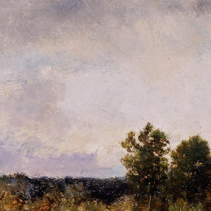Radura Nella Foresta Narcisse-Virgile Diaz de La Peña nvd14 quadro stampato su tela