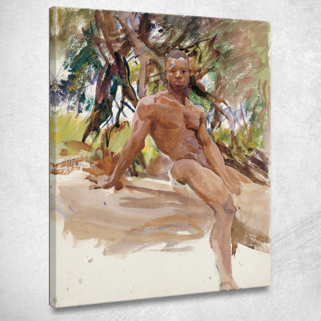 L'Uomo E Gli Alberi Florida John Singer Sargent jss152 quadro stampato su tela