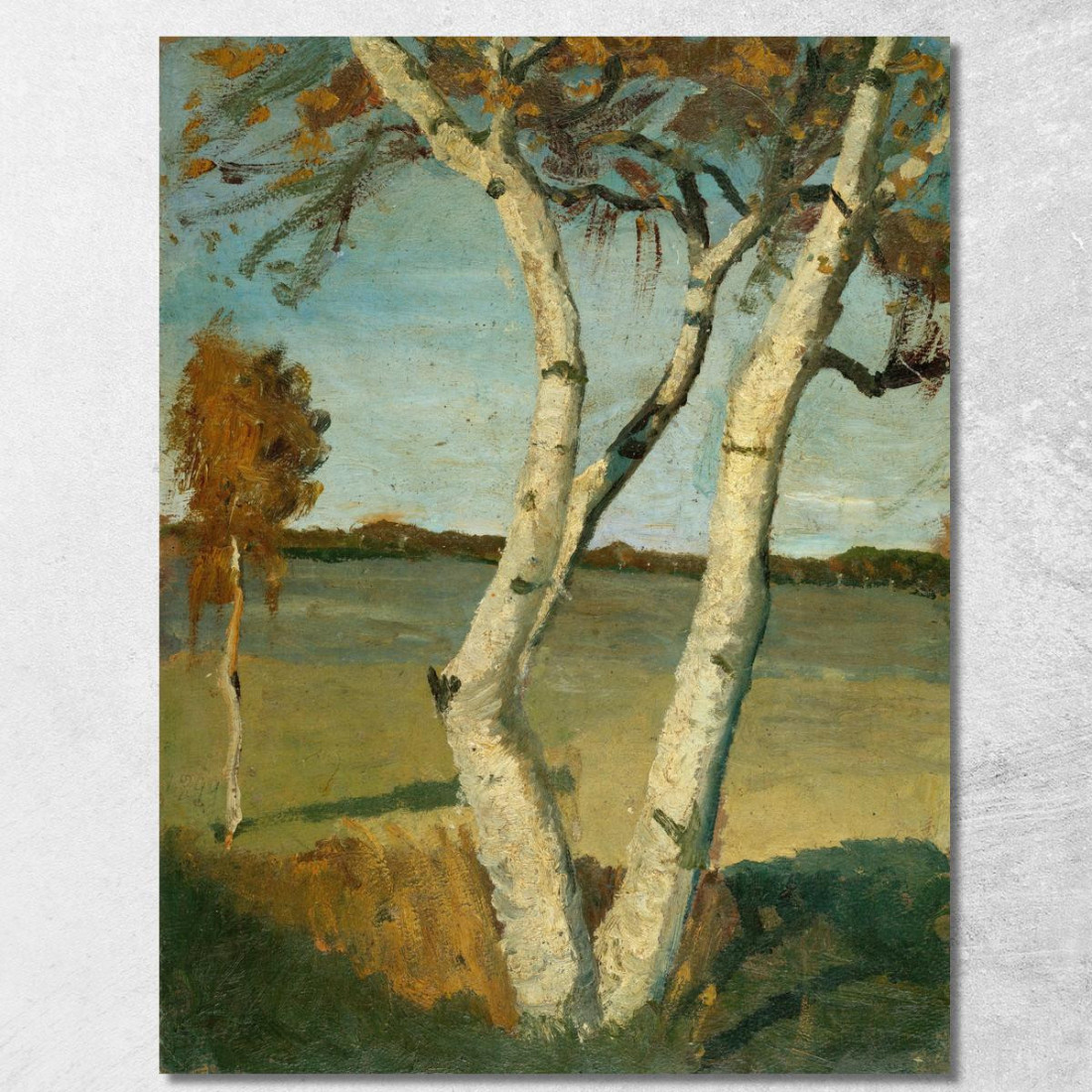 Betulla In Un Paesaggio Paula Modersohn-Becker pmb1 quadro stampato su tela