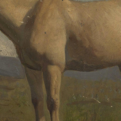 Un Cavallo Sauro Adolph Tidemand atd2 quadro stampato su tela
