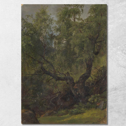 Studio Di Foresta Da Numedal Adolph Tidemand atd24 quadro stampato su tela