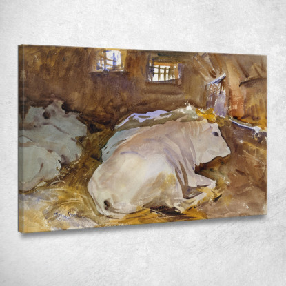 Buoi John Singer Sargent jss210 quadro stampato su tela