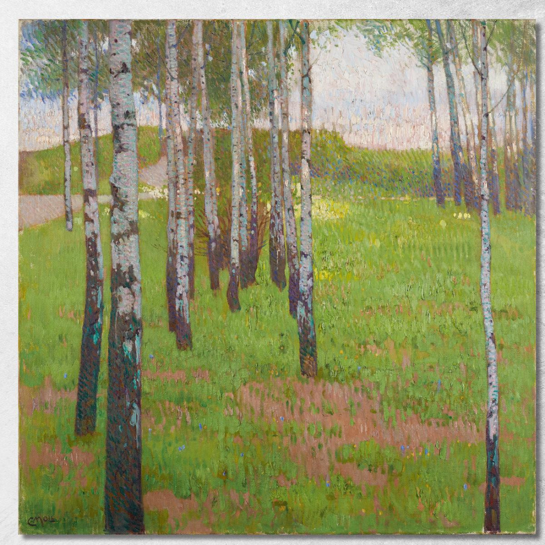 Boschetto Di Betulle Nella Luce Del Tramonto Carl Moll cml10 quadro stampato su tela