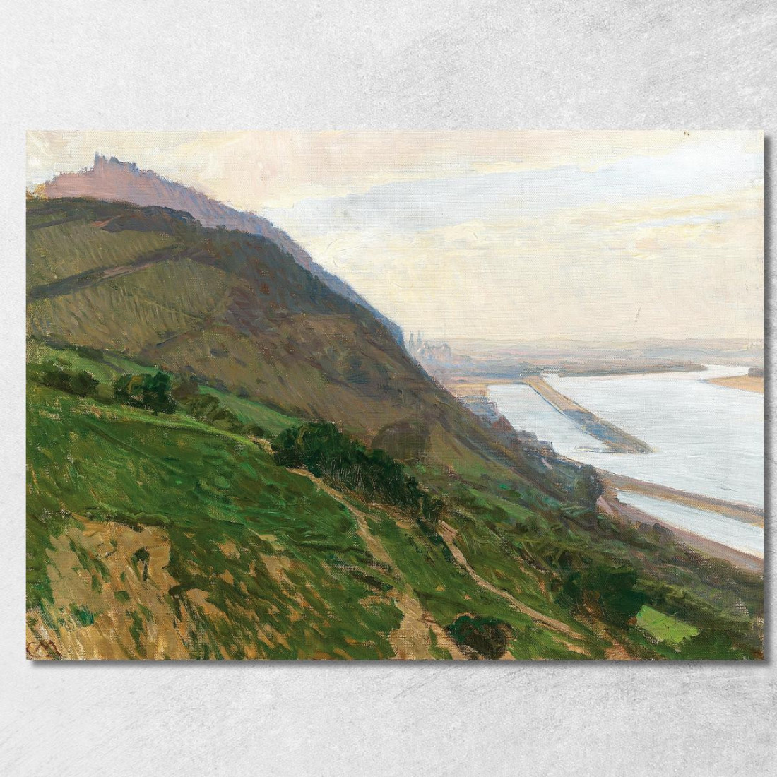 Vista Sul Danubio Carl Moll cml22 quadro stampato su tela