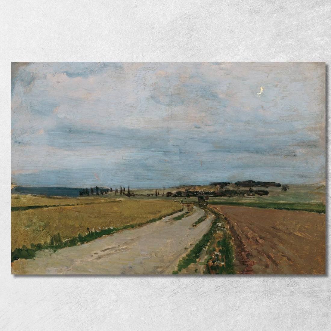 Studio Atmosferico Serale A Michelhausen Plankenberg Carl Moll cml45 quadro stampato su tela