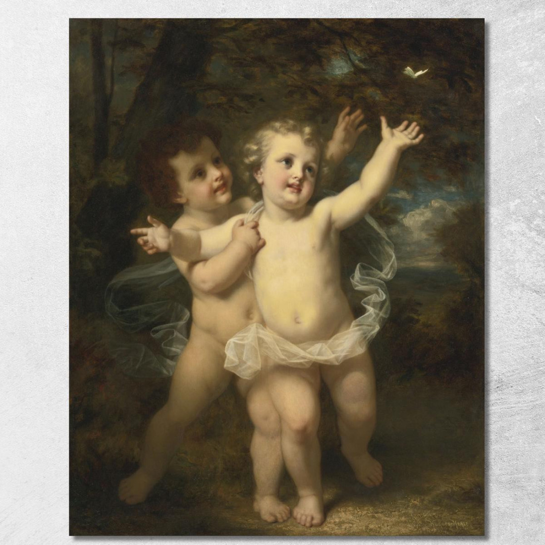 La Farfalla Hugues Merle hmr23 quadro stampato su tela