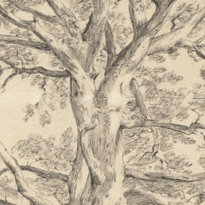 Una Grande Quercia John Constable jcn4 quadro stampato su tela
