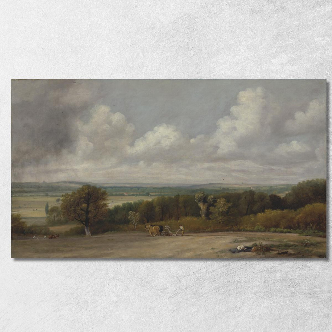 Scena Di Aratura Nel Suffolk John Constable jcn65 quadro stampato su tela
