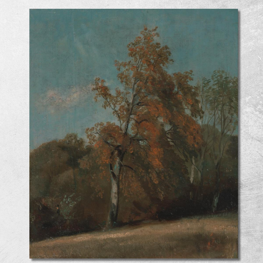 Studio Di Un Frassino John Constable jcn85 quadro stampato su tela