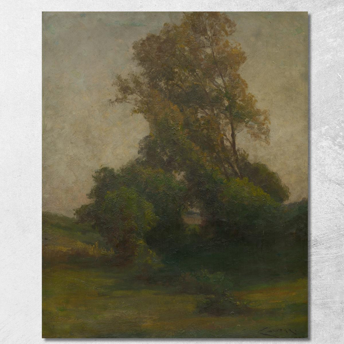 Albero In Campagna Ľudovít Čordák lco82 quadro stampato su tela