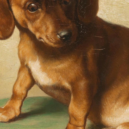 Un Cucciolo Di Bassotto Carl Reichert crc1 quadro stampato su tela