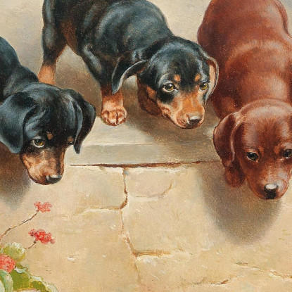 Cuccioli Di Bassotto Curiosi E Una Rana Carl Reichert crc18 quadro stampato su tela