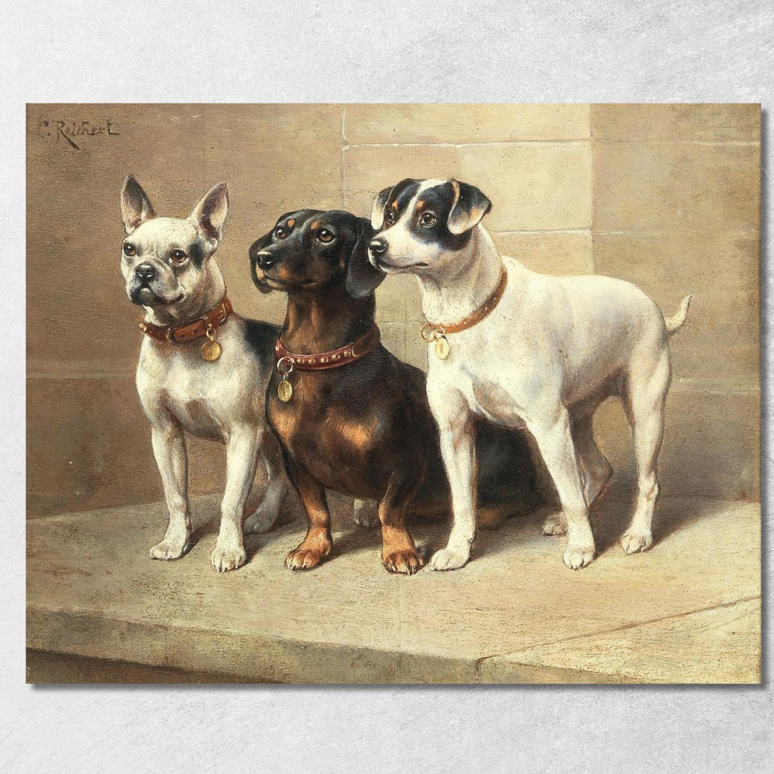 Tre Cani Vigili Carl Reichert crc55 quadro stampato su tela