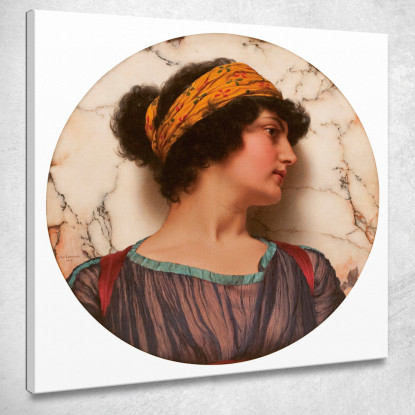 Androclea John William Godward jwg17 quadro stampato su tela