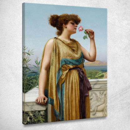 La Rosa Profumata John William Godward jwg76 quadro stampato su tela