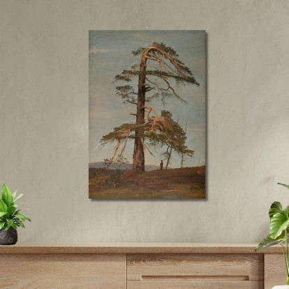 Pino. Vingerasheia Telemark Amaldus Nielsen ani114 quadro stampato su tela