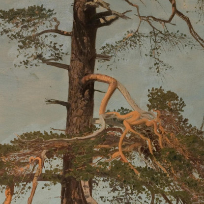 Pino. Vingerasheia Telemark Amaldus Nielsen ani114 quadro stampato su tela