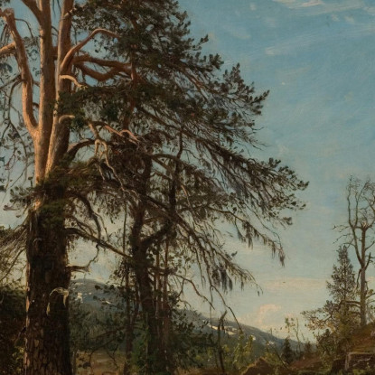 A Vingerasheia Telemark Amaldus Nielsen ani143 quadro stampato su tela