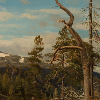 Alta Setesdal Amaldus Nielsen ani233 quadro stampato su tela