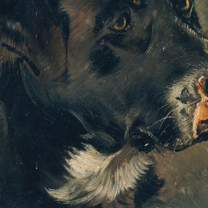 Testa Di Un Cane Macellaio / Testa Di Cane Anton Romako arm36 quadro stampato su tela
