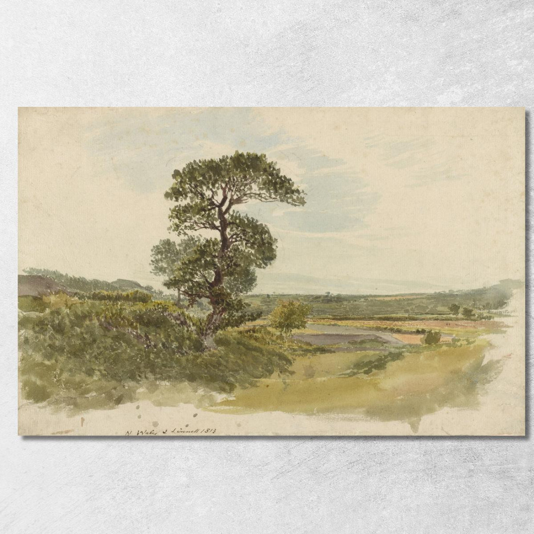 Paesaggio Nello Snowdonia Con Un Albero In Primo Piano John Linnell jln3 quadro stampato su tela