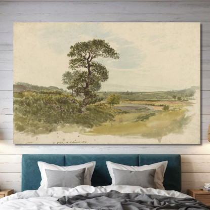 Paesaggio Nello Snowdonia Con Un Albero In Primo Piano John Linnell jln3 quadro stampato su tela