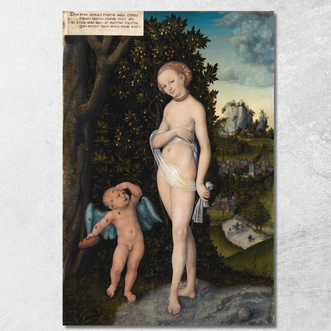 Venere Con Cupido Che Ruba Il Miele Lucas Cranach the Elder lce91 quadro stampato su tela