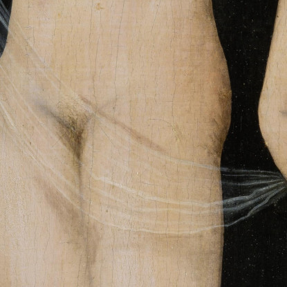 Venere Lucas Cranach the Elder lce92 quadro stampato su tela