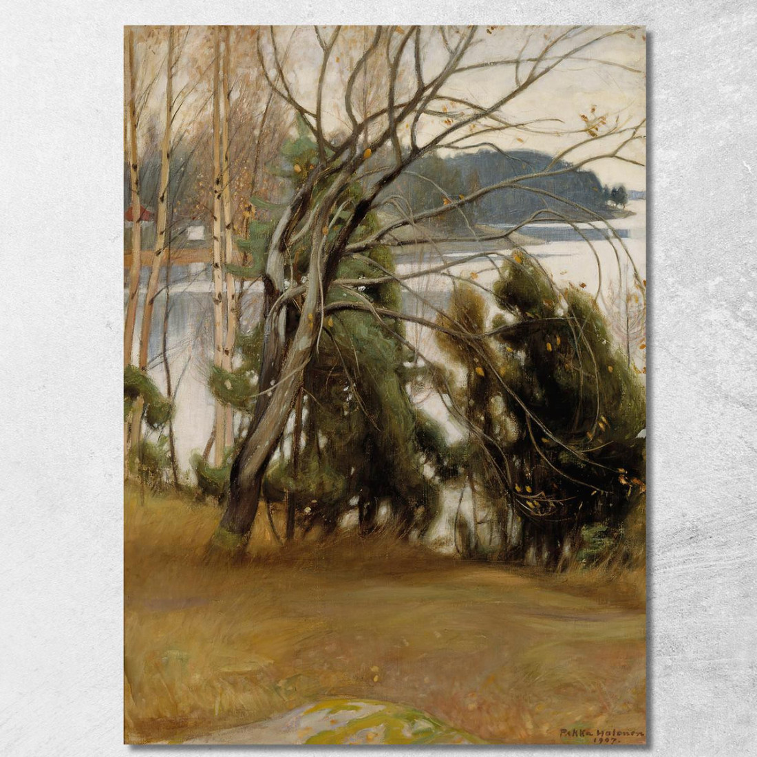 Salice In Autunno Pekka Halonen phl19 quadro stampato su tela