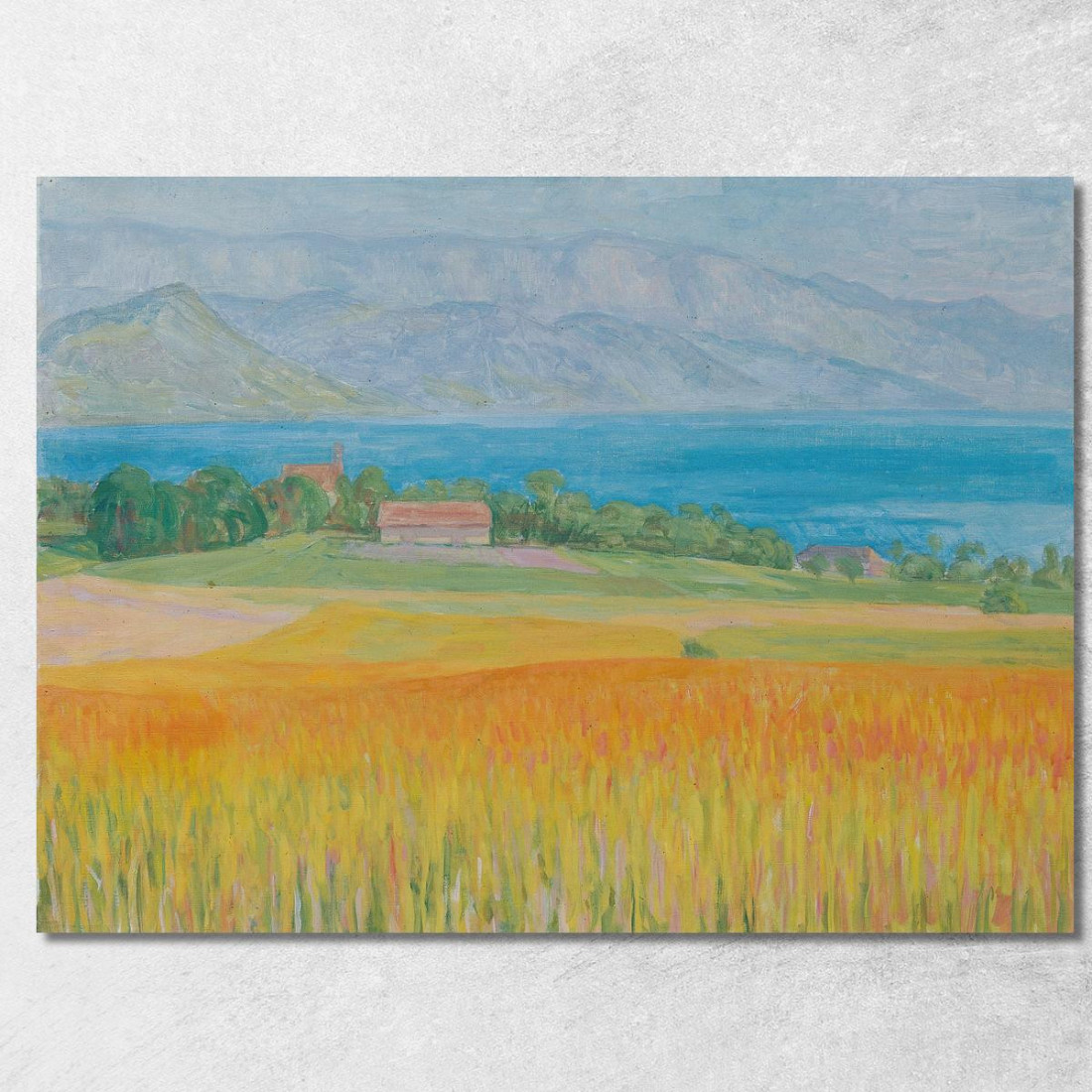 Campo Di Grano All'Attersee Walther Gamerith wgm16 quadro stampato su tela