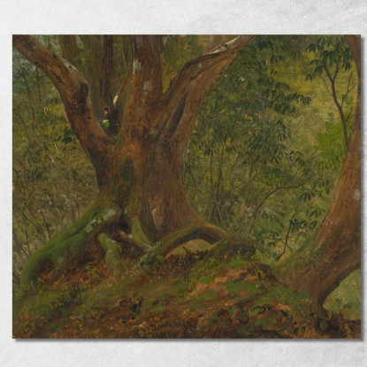 Nel Bosco Giamaica Frederic Edwin Church fec24 quadro stampato su tela
