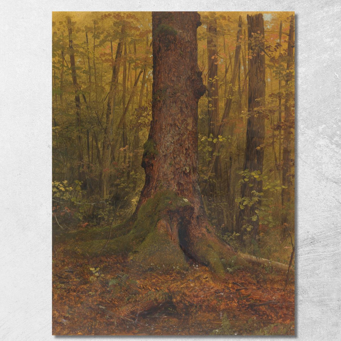 Nel Bosco Probabilmente Maine Frederic Edwin Church fec25 quadro stampato su tela