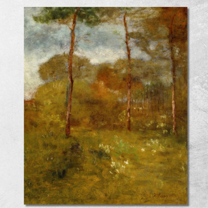 Strada Arancione Tarpon Springs George Inness gin72 quadro stampato su tela
