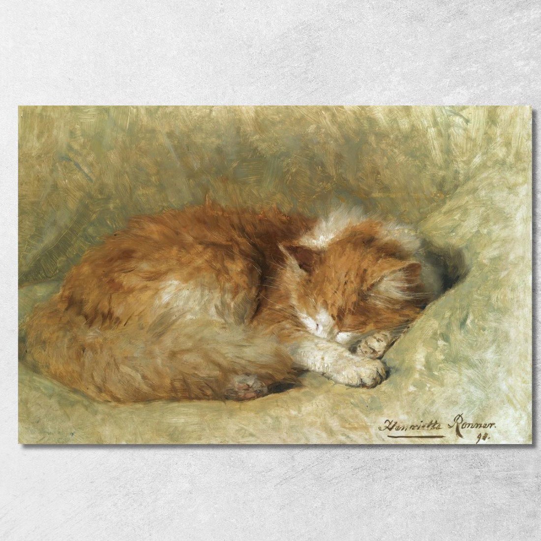 Un Gatto Che Dorme Henriëtte Ronner-Knip hrk4 quadro stampato su tela