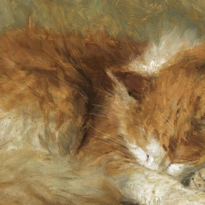 Un Gatto Che Dorme Henriëtte Ronner-Knip hrk4 quadro stampato su tela