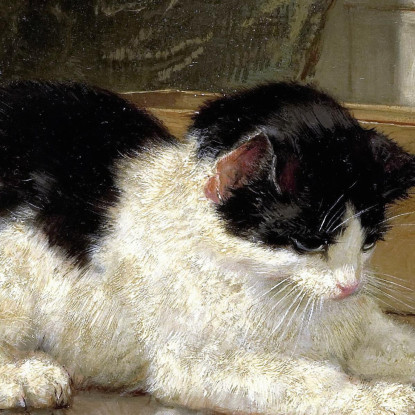Il Gatto Che Gioca Henriëtte Ronner-Knip hrk18 quadro stampato su tela