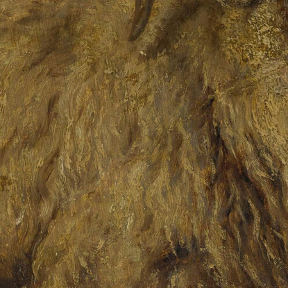 Il Merinos Rosa Bonheur rbn25 quadro stampato su tela