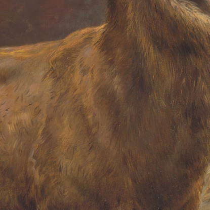 Monarchi Della Foresta Rosa Bonheur rbn31 quadro stampato su tela