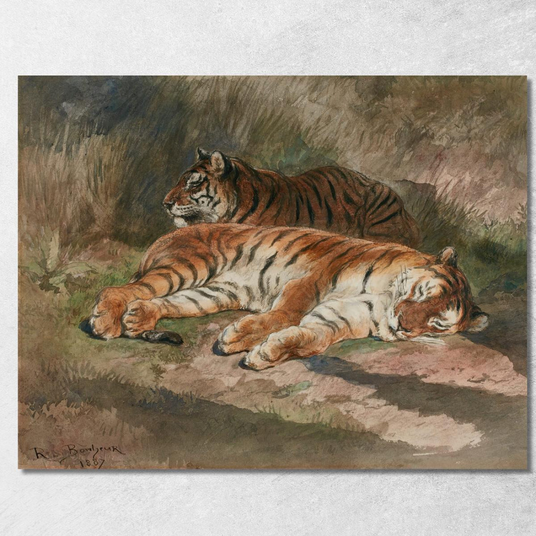 Due Tigri Sdraiate Rosa Bonheur rbn60 quadro stampato su tela