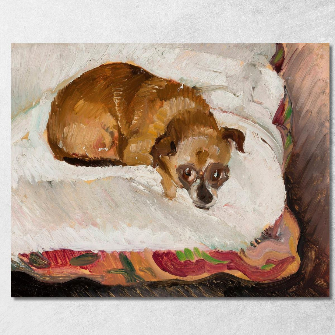 Cane Sdraiato 2 Zygmunt Waliszewski zwl27 quadro stampato su tela