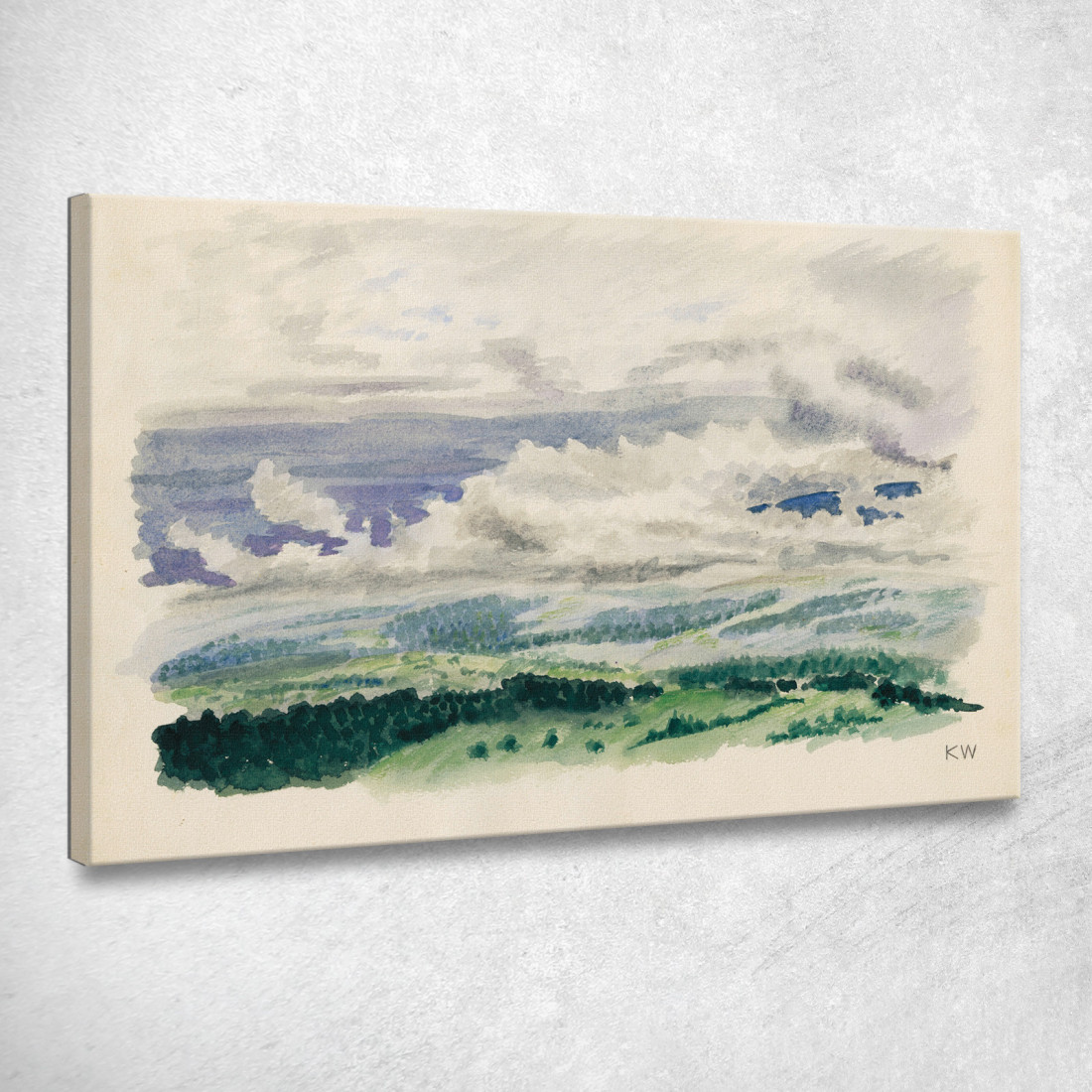 Studio Della Natura Xl Karl Wiener kwn390 quadro stampato su tela