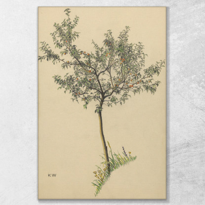 Albero Da Frutto Senza Titolo Karl Wiener kwn575 quadro stampato su tela