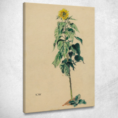 Girasole Karl Wiener kwn667 quadro stampato su tela