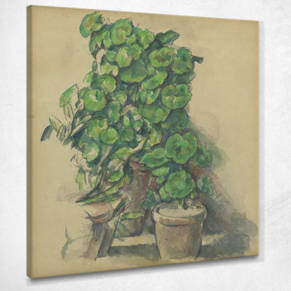 Gerani Paul Cézanne pcz28 quadro stampato su tela